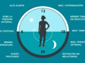 ciclos del sueño y calidad el descanso